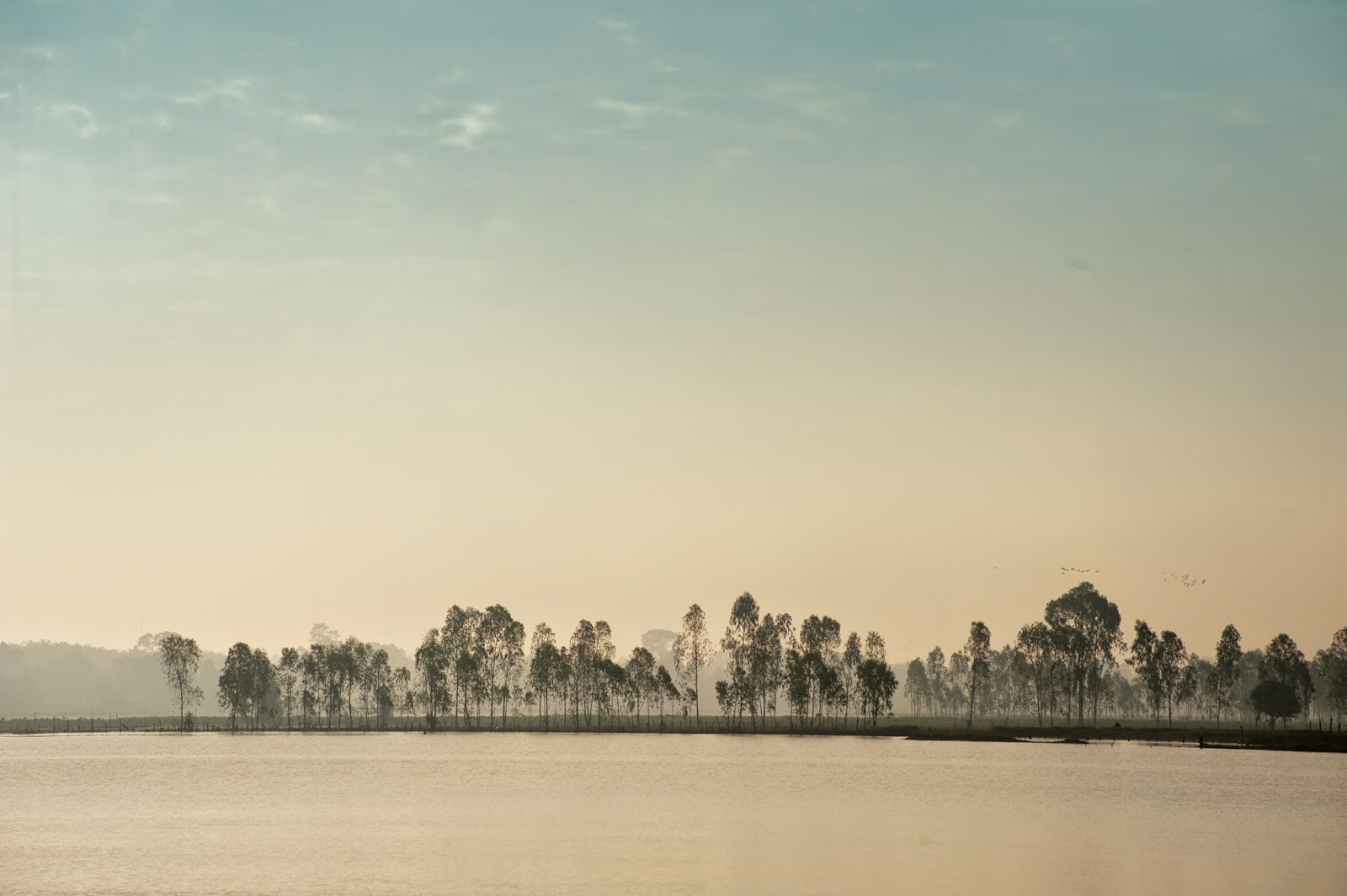 Introducing "Verge: Studies in Global Asias"